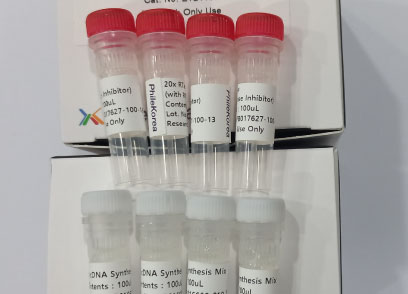 [PKT]cDNA synthesis kit